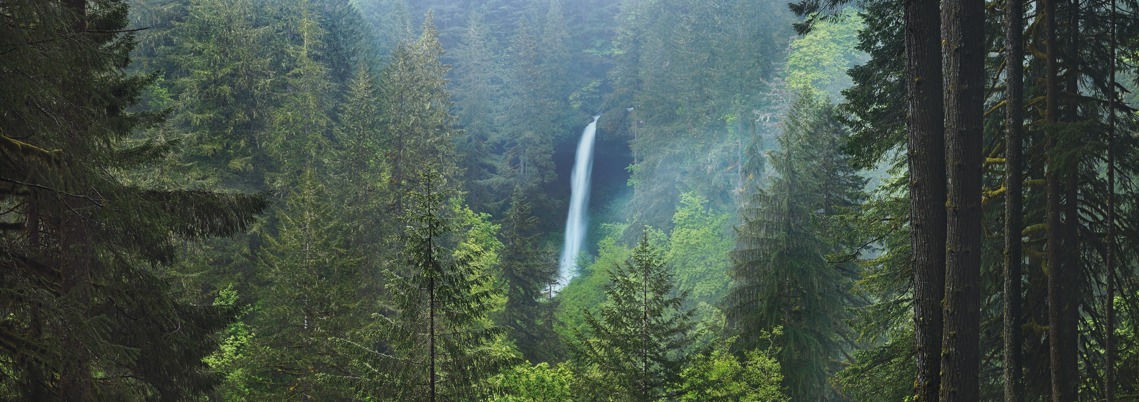 Paradise Falls Silver Falls State Park, Oregon Fine Art Photography
