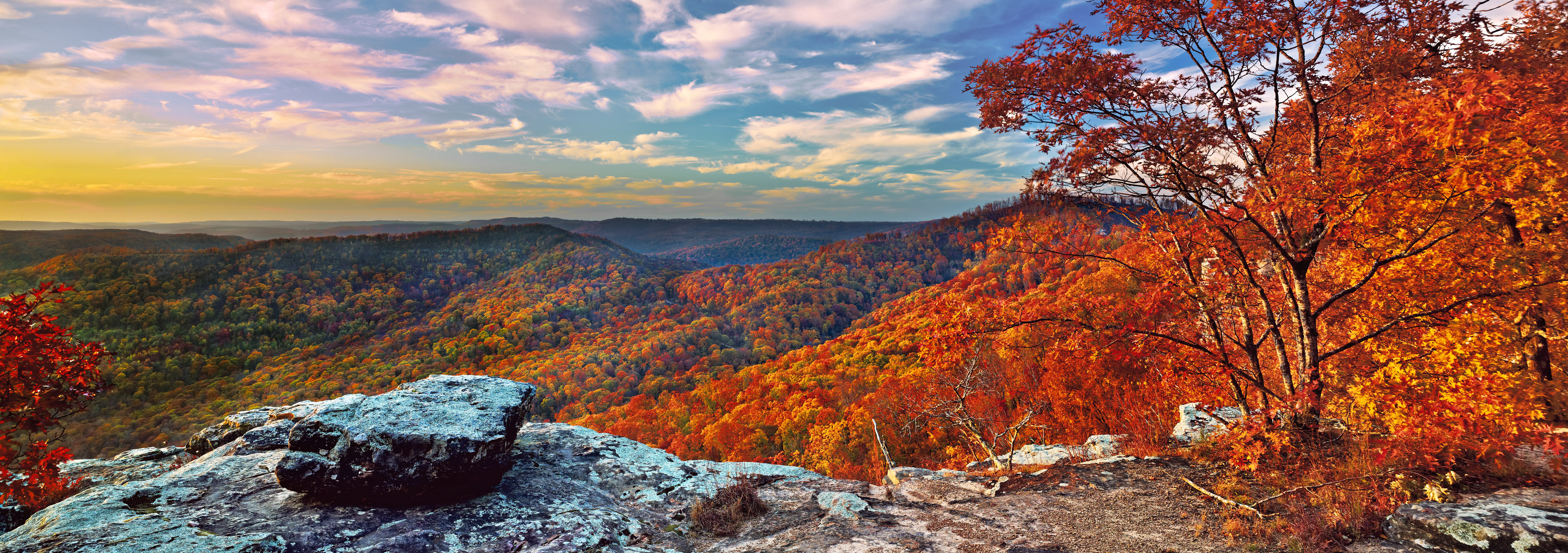 Autumn Spectacle Ozark National Forest, Arkansas Fine Art