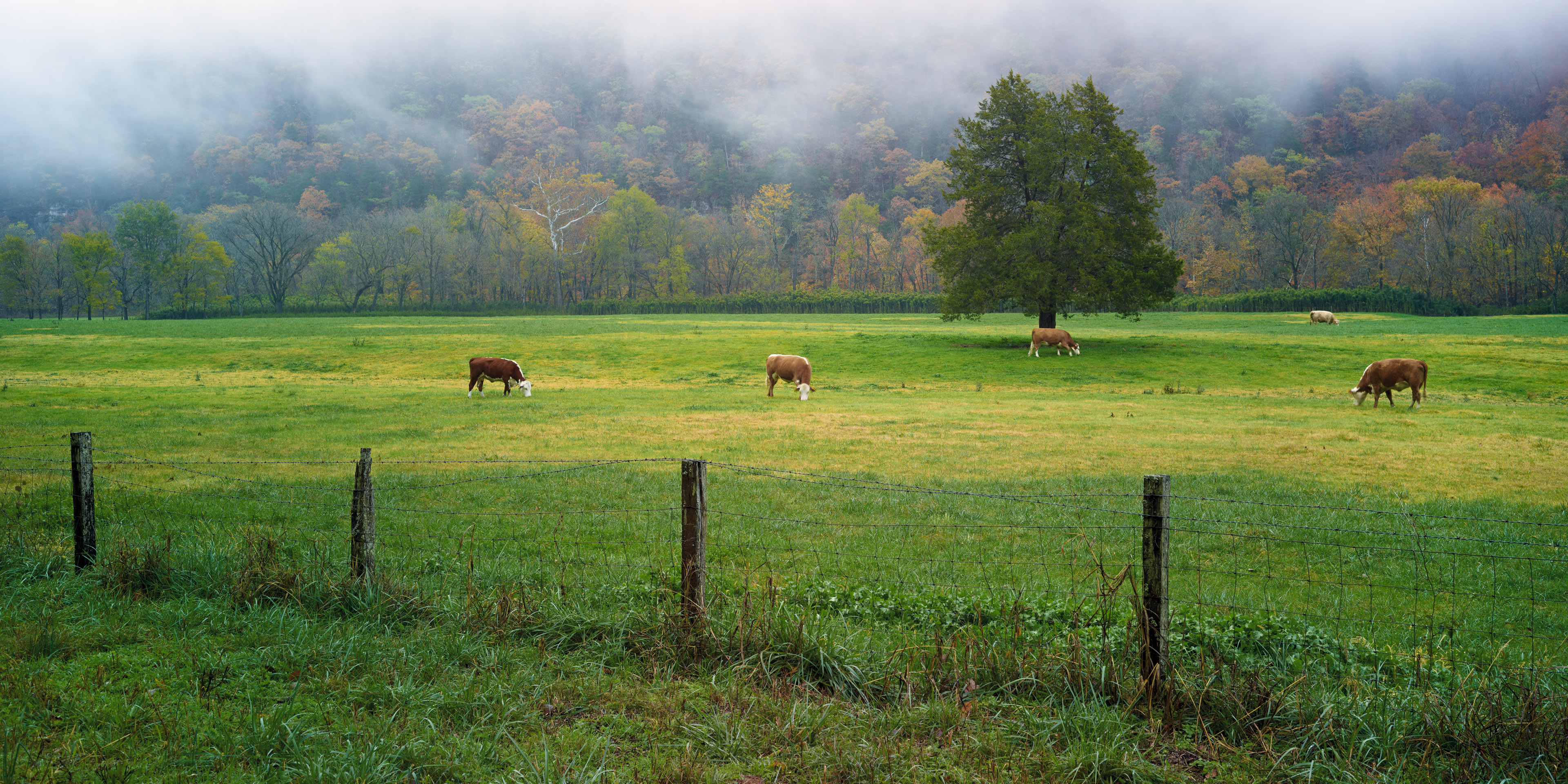 Boxley Valley | Arkansas | Fine Art Photography by Ed Cooley