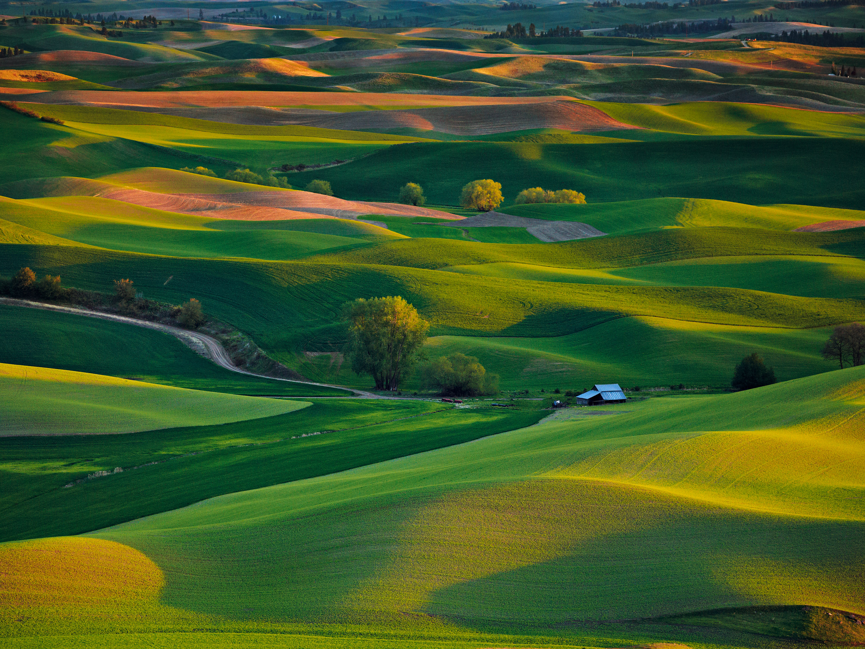 Emerald Hills | Southeast Washington State | Fine Art Photography by Ed ...