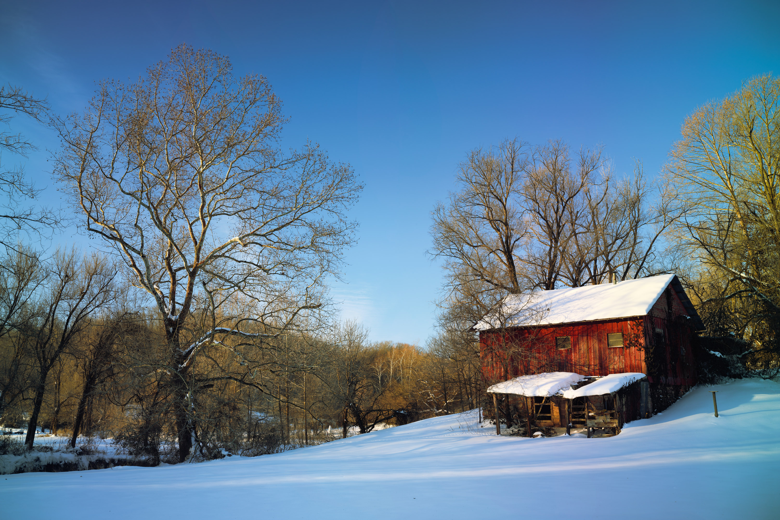 Winter Morning | Prairie Creek, Arkansas | Fine Art Photography by Ed ...